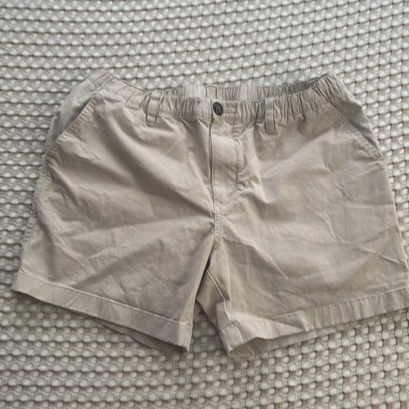 Chubbies Gray and Tan Flat Front Shorts - Picture 2 of 9